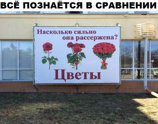 ВСЁ позндётся в СРАВНЕНИИ Насколько СИЛ ыю опа расс