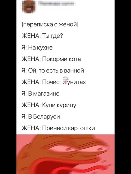 переписка с жа пои ЖЕНА Ты где7 Я На кухне ЖЕНА Покорми копа Я Ои то есть ваннои ЖЕНА Почистъ унитаз Я В магазине ЖЕН Купи курицу Я В Беларуси ЖЕНА Принеси картошки