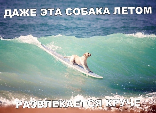 дАЖЕ ЗШАС9БАКА ЛЕТОМ