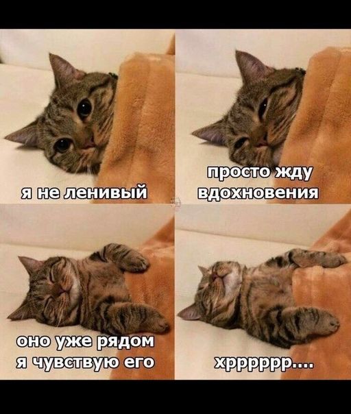 шью Ю хрррррр