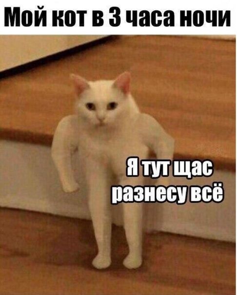 МОЙ ШП В 3 часа ночи ППП щас 8330 ВСЁ