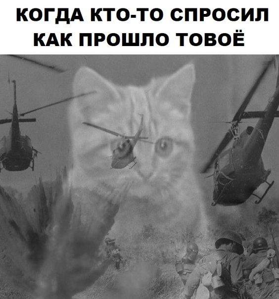 КОГДА КТО ТО СПРОСИЛ КАК ПРОШПО ТОВОЁ