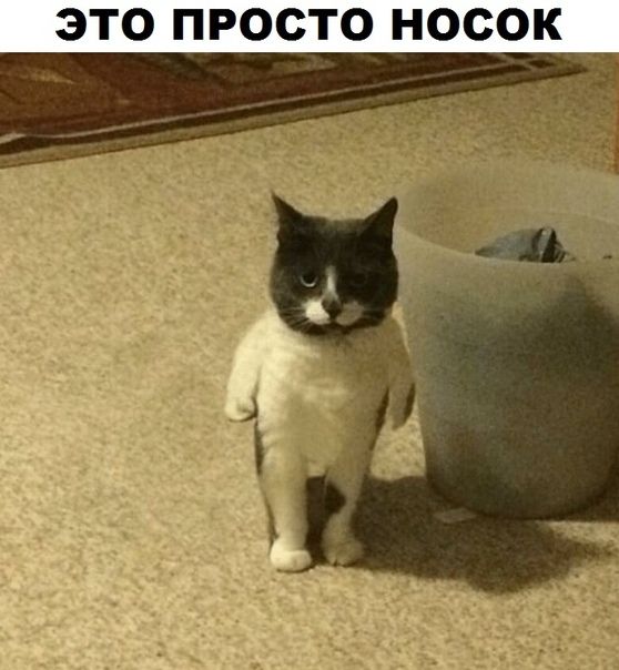 ЭТО ПРОСТО НОСОК