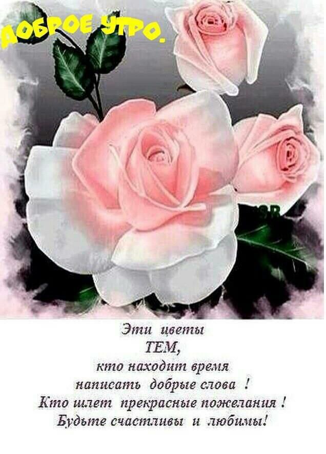 Эти цветы ТЕМ кто находшп время написать добрые слова Кто шлет прекрасные пожелают Будьте очистить любимы