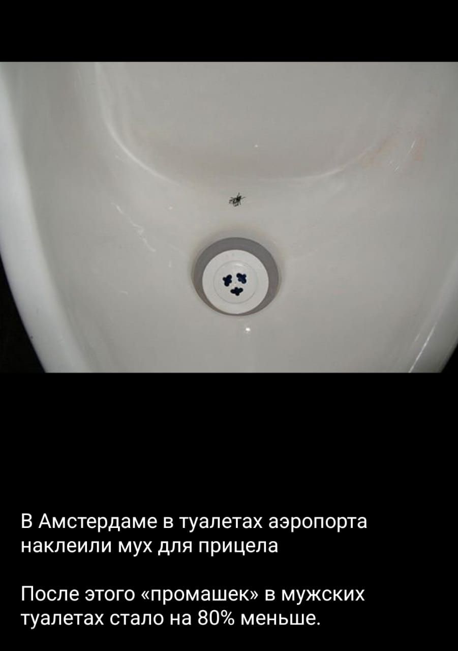 В Амстердаме в туалетах аэропорта наклеили мух для прицела После этого промашек в мужских туалетах стало на 80 меньше