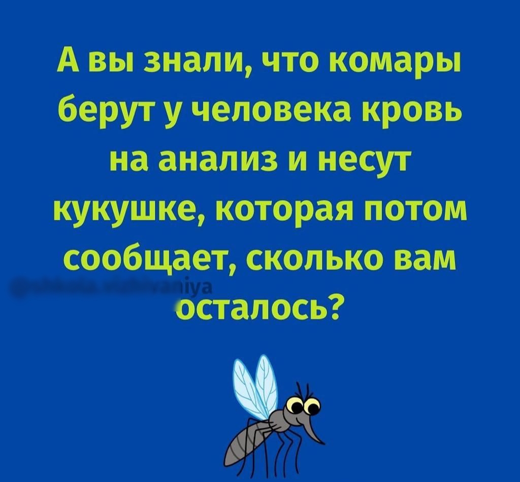 А вы знали что комары берут у человека кровь на анализ и несут кукушка которая потоп сообщает сколько вам пуа осталось