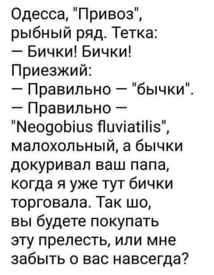 Одесса Привоз рыбный ряд Тетка Бички Бички Приезжий Правильно бычки Правильно Мео9оЬіиз Пиуіатіііз малохольный а бычки докуривал ваш папа когда я уже тут бички торговала Так шо вы будете покупать эту прелесть или мне забыть о вас навсегда