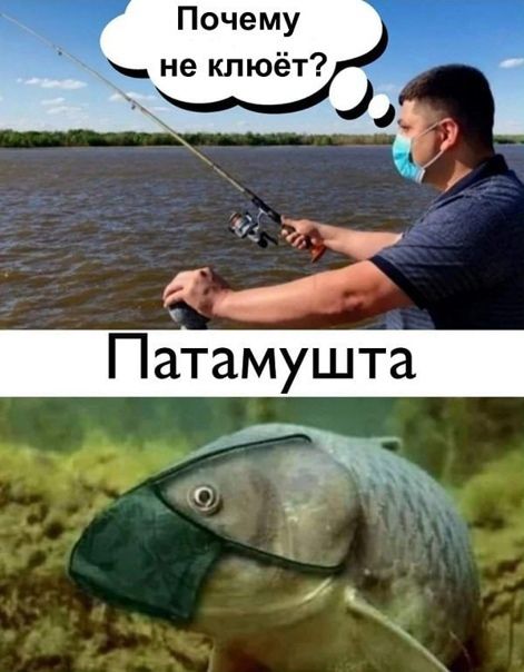 а 9 ЁЖ к