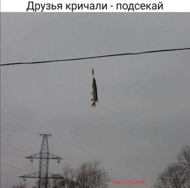 До зья к ичали подсекай нп дым и