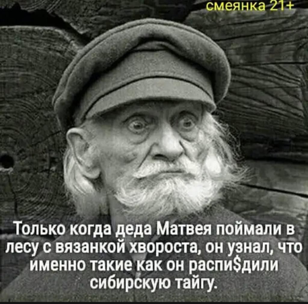 смея ика 2і Только когда деда Матвея пои а лесу вязанкой хвороста он узнал именно такиеіак он раопиЗдили _ сибирбкую тайгу