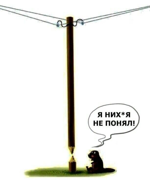 Я НИХЯ НЕ ПОНЯП