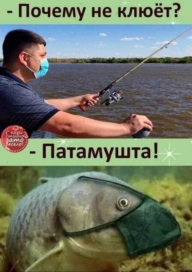 Почему не клюёт