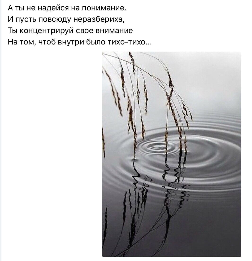 А ты не надейся на понимание И пусть повсюду неразбериха Ты концентрируй свое внимание На том чтоб внутри было тихотихо