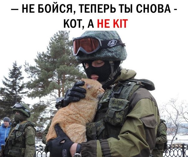 НЕ БОЙСЯ ТЕПЕРЬ ТЫ СНОВА КОТ А_Н Е_КТ