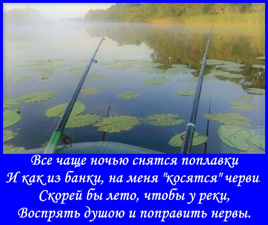 Все чаще ночью снятся поплавку _ Лкакиз банки на меня Косятсящерви Скорей бы лето чтобы у реку Фоспрятъ душою и поправить нервы