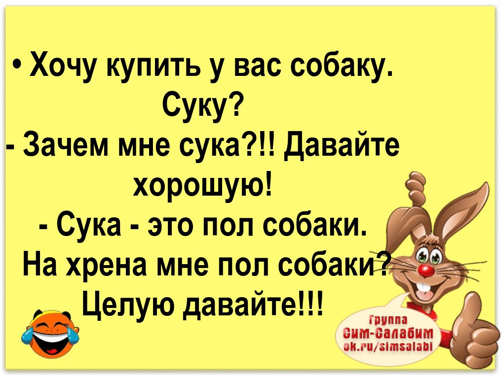 Хочу купить у вас собаку Суку Зачем мне сука Давайте хорошую _ С ука это пол собаки На хрена мне поп собак аг Целую давайте гтатдгжё