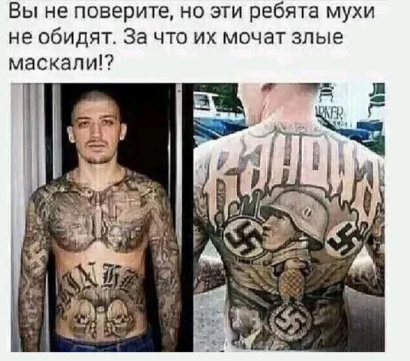 Вы не поверите но эти ребята мухи не обидят За что их мочат злые