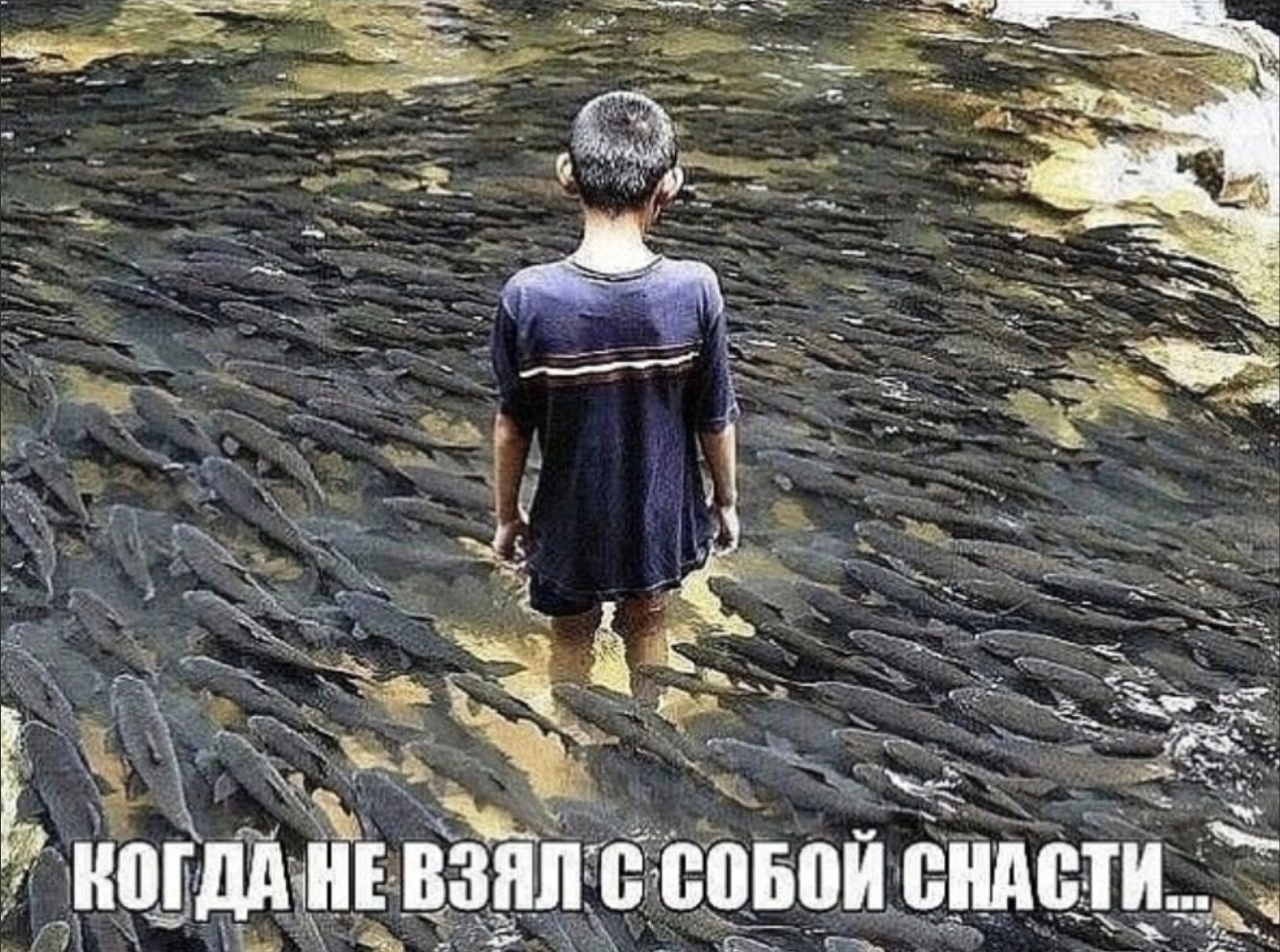 __ ь 30050 _ ___ _ т в д и __ нд да Ё_
