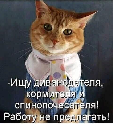 ИУЪТ В 1 за епя кор дн 2 спиноп ь дугля Работучиен речі ать