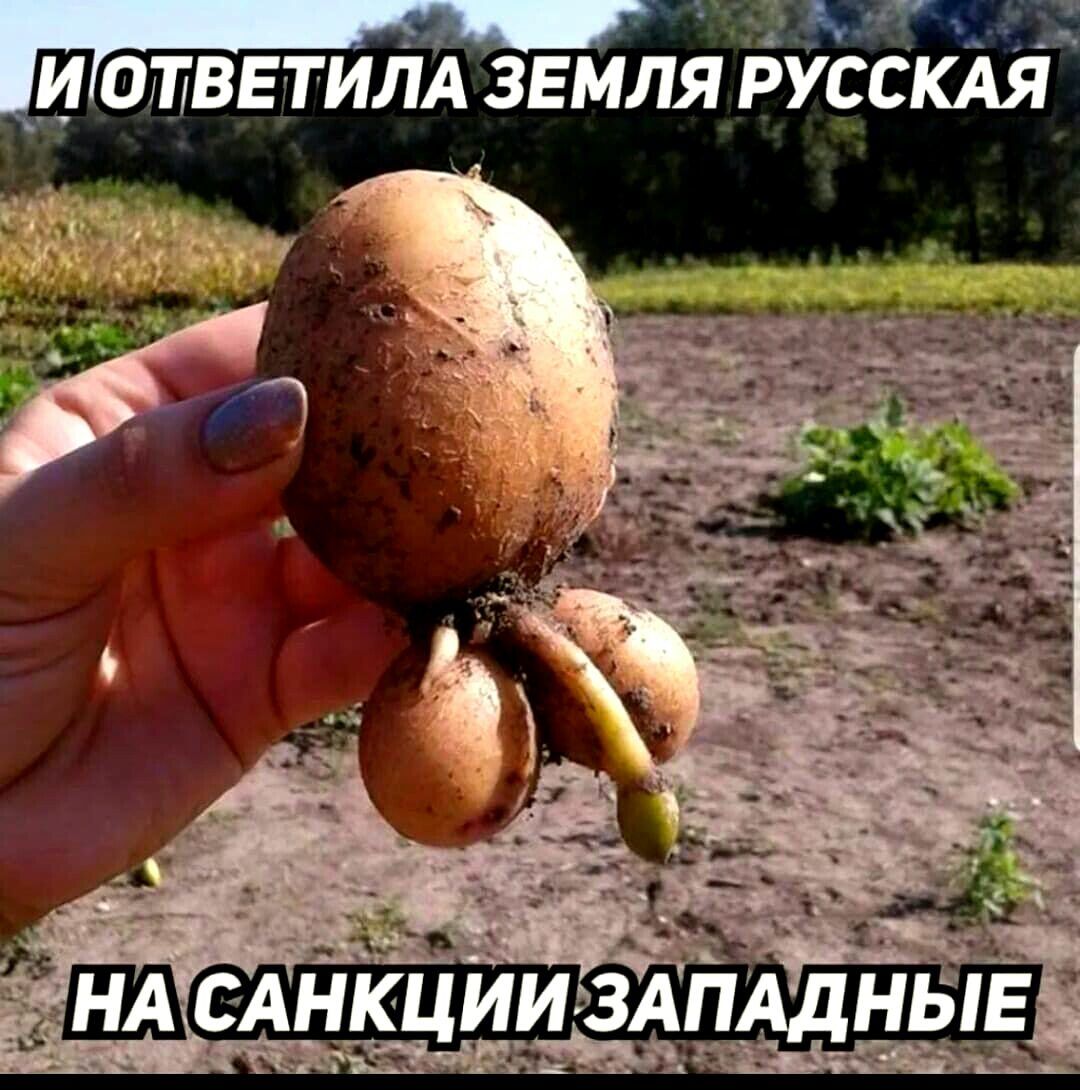 д БКХ а ИОТ ВЕ ТИПА ЗЕМЛЯ РУССКАЯ