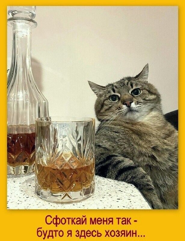 Сфоткай меня так будто я здесь хозяин