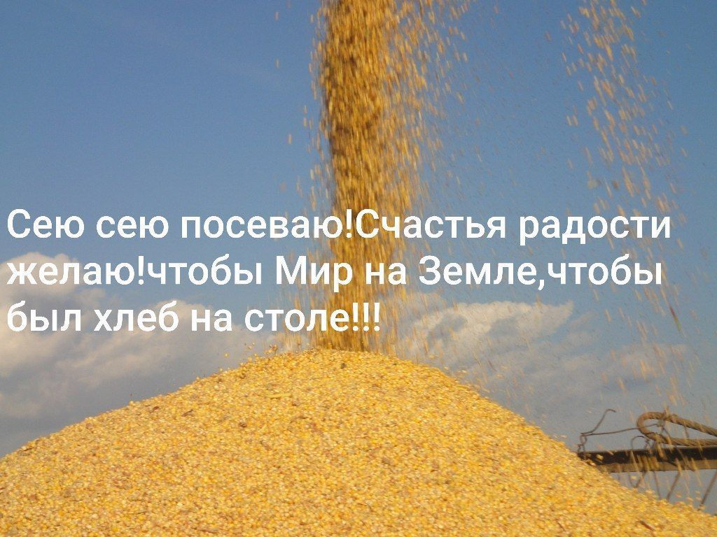 Сею сею посеваю!Счастья радости желаю!чтобы Мир на Земле,чтобы был хлеб на столе!!!