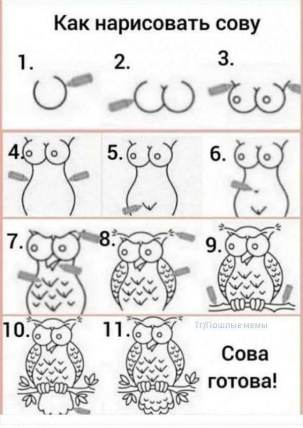 Как нарисовать сову
1. 
2. 
3. 
4. 
5. 
6. 
7. 
8. 
9. 
10. 
11. 
Сова готова!