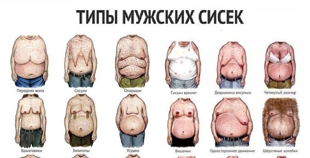 ТИПЫ МУЖСКИХ СИСЕК