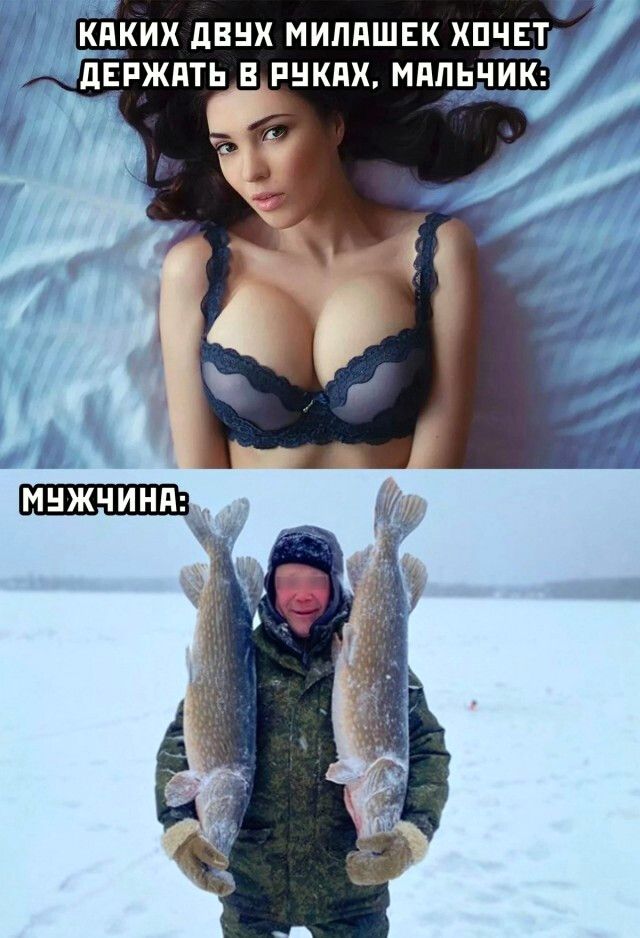 КАКИХ ДВУХ МИЛАШЕК ХОЧЕТ ДЕРЖАТЬ В РУКАХ, МАЛЬЧИК:
МУЖЧИНА: