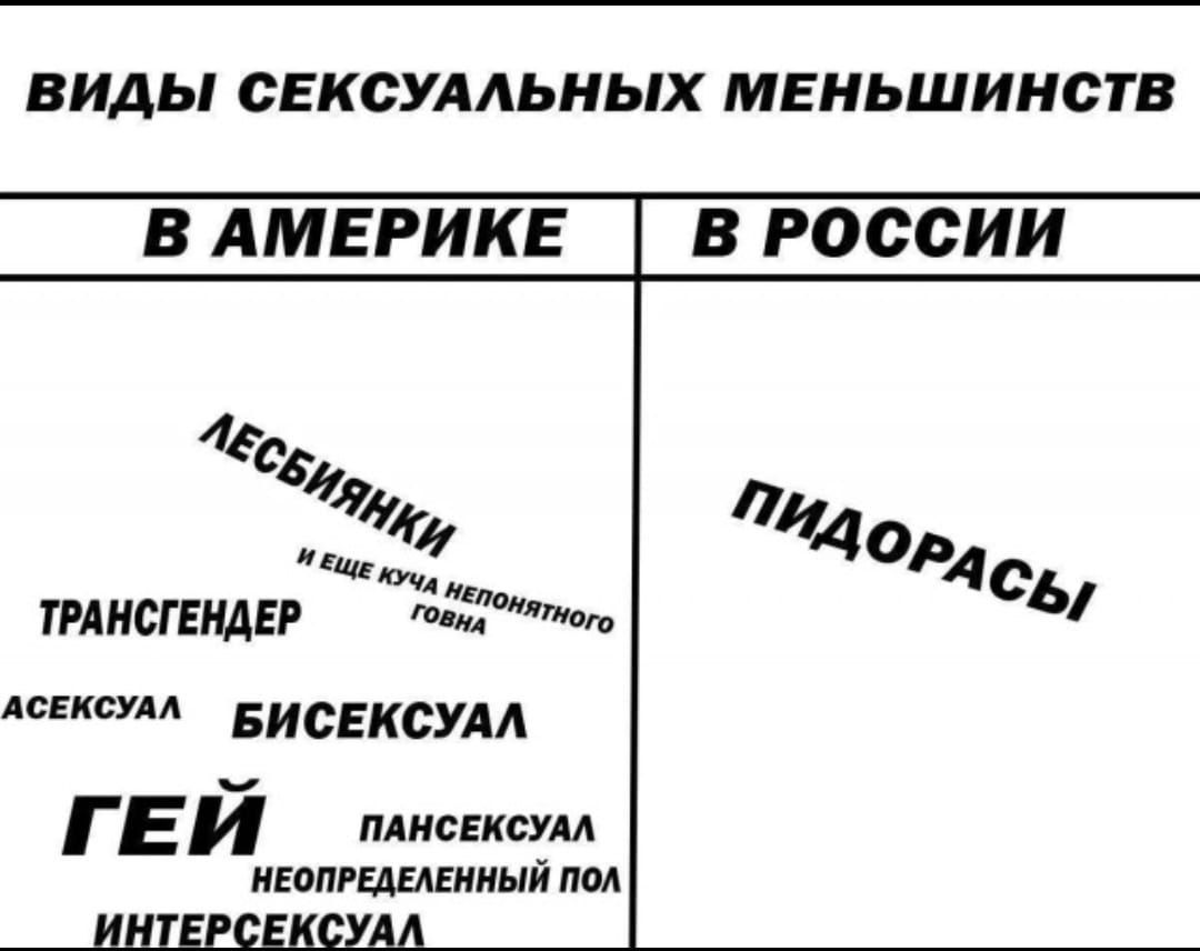 Виды сексуальных меньшинств. В Америке: ЛЕСБИЯНКИ, ТРАНСГЕНДЕР, БИСЕКСУАЛ, ГЕЙ, ПАНСЕКСУАЛ, НЕОПРЕДЕЛЕННЫЙ ПОЛ, ИНТЕРСЕКСУАЛ, АСЕКСУАЛ. В России: ПИДОРАСЫ.