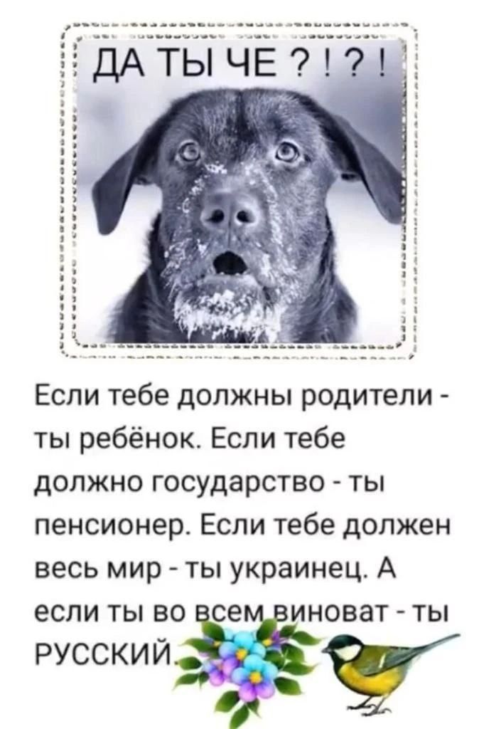 ДА ТЫ ЧЕ ?!?!
Если тебе должны родители - ты ребёнок. Если тебе должно государство - ты пенсионер. Если тебе должен весь мир - ты украинец. А если ты во всем виноват - ты РУССКИЙ.