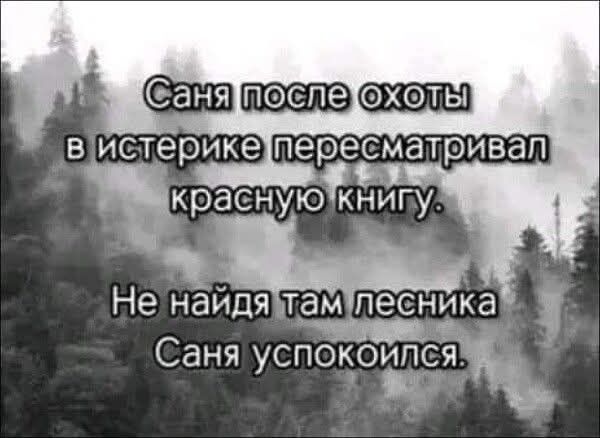 Саня после охоты в истерике пересматривал красную книгу. Не найдя там лесника Саня успокоился.