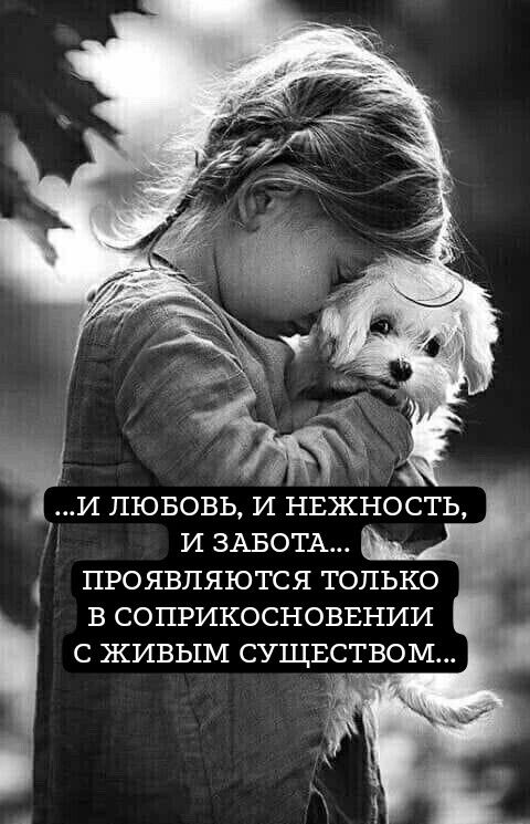 ...И ЛЮБОВЬ, И НЕЖНОСТЬ, И ЗАБОТА... ПРОЯВЛЯЮТСЯ ТОЛЬКО В СОПРИКОСНОВЕНИИ С ЖИВЫМ СУЩЕСТВОМ...