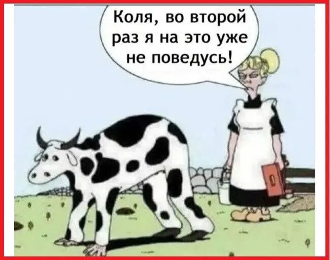 Коля, во второй раз я на это уже не поведусь!