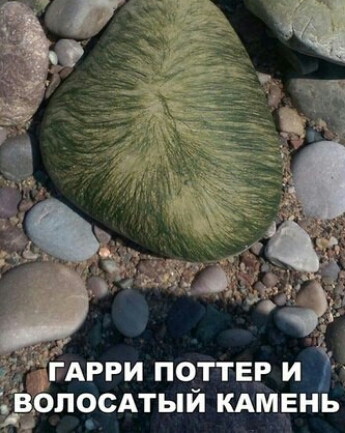 38 ИКАМ ОЛ ОСАТЫ 4