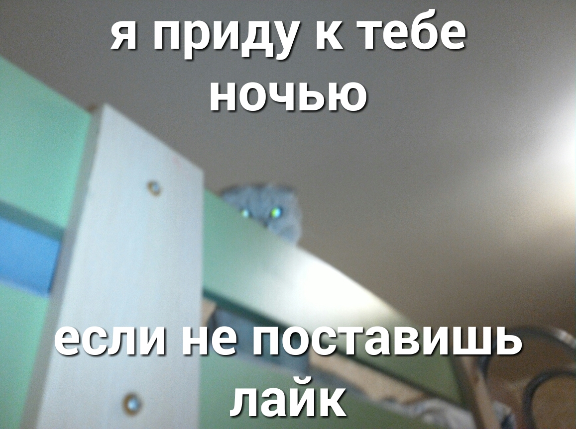 я приду к тебе ночью ЗЕЛШ 6 вишь лайЪ