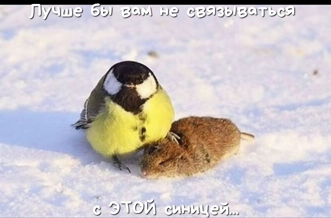 Г цшг ЭЭ ЭВМ 1 3 3513313 сггэ 551
