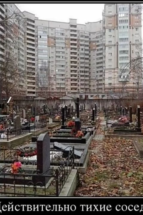 тиши Действительно ТИХИС СОСЭ