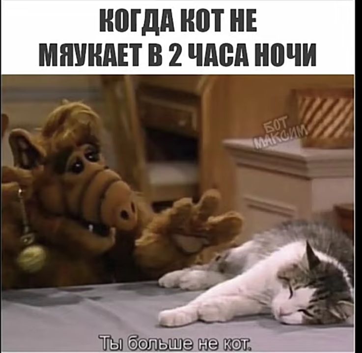 НШдд П Е МШШАП В 2 ЧдВд 0ЧИ