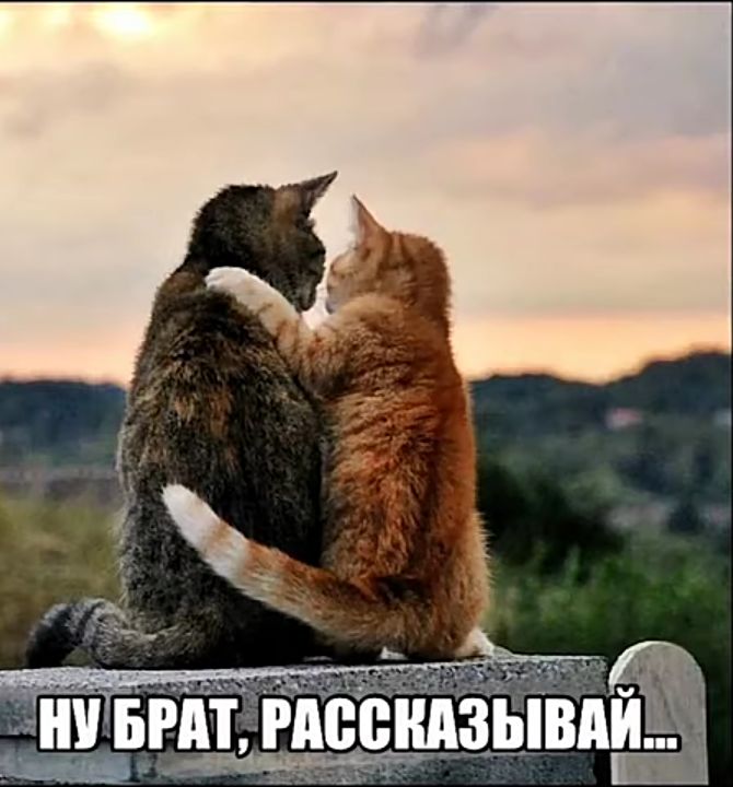 БРАТ РАВВНАЗЫВАИ