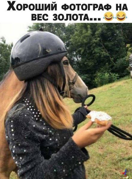 Хороший ФОТОГРАФ нд ввс золотА 9 9