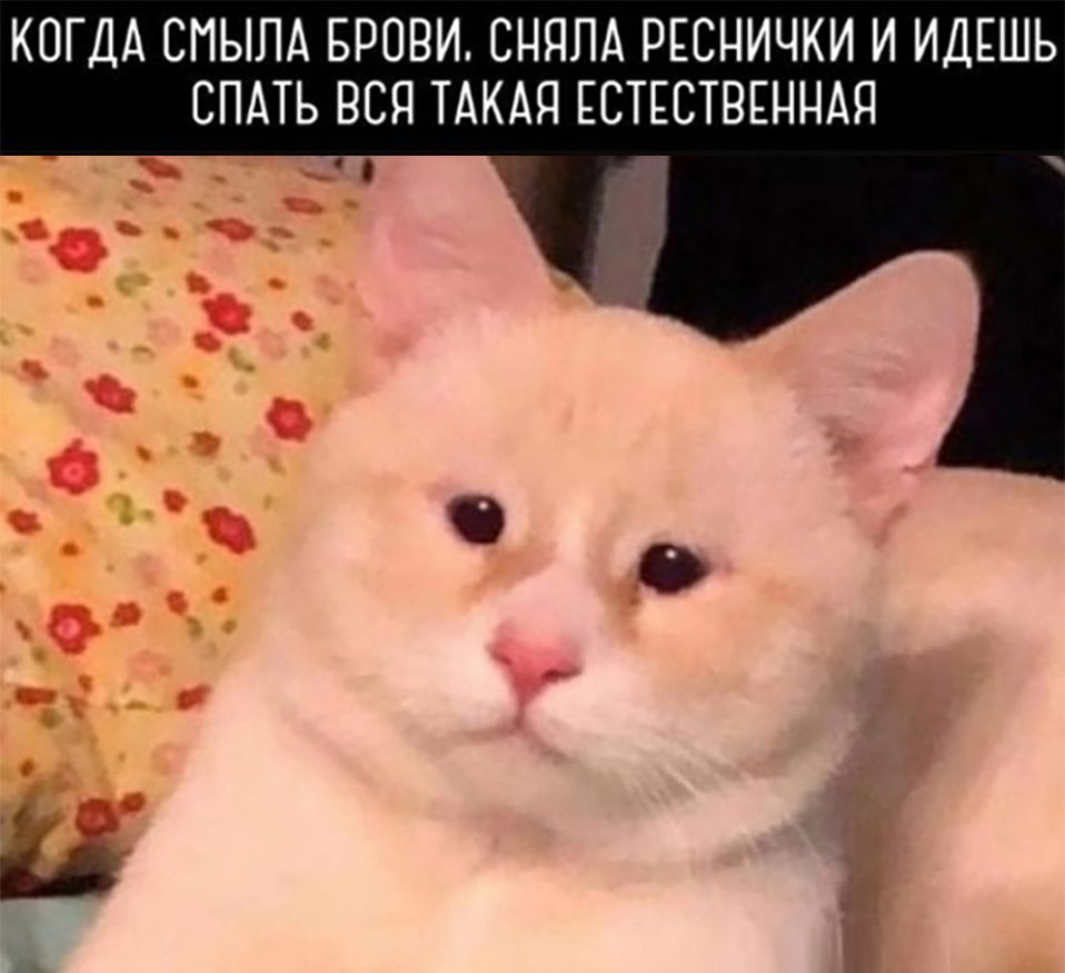 КОГДА СПЫЛА БРОВИ СНЯПА РЕСНИЧКИ И ИДЕШЬ СПАТЬ ВСЯ ТАКАЯ ЕСТЕСТВЕННАЯ