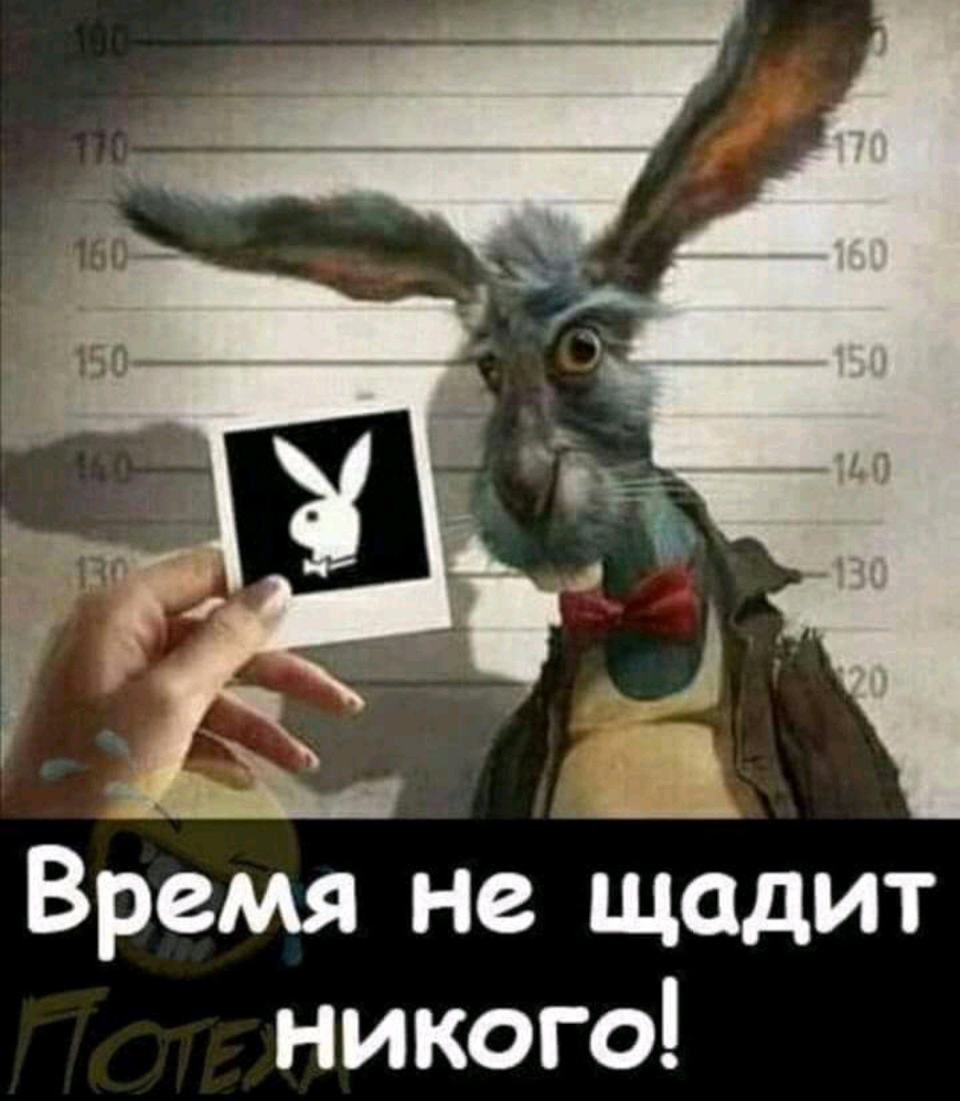 Время не щадит никого