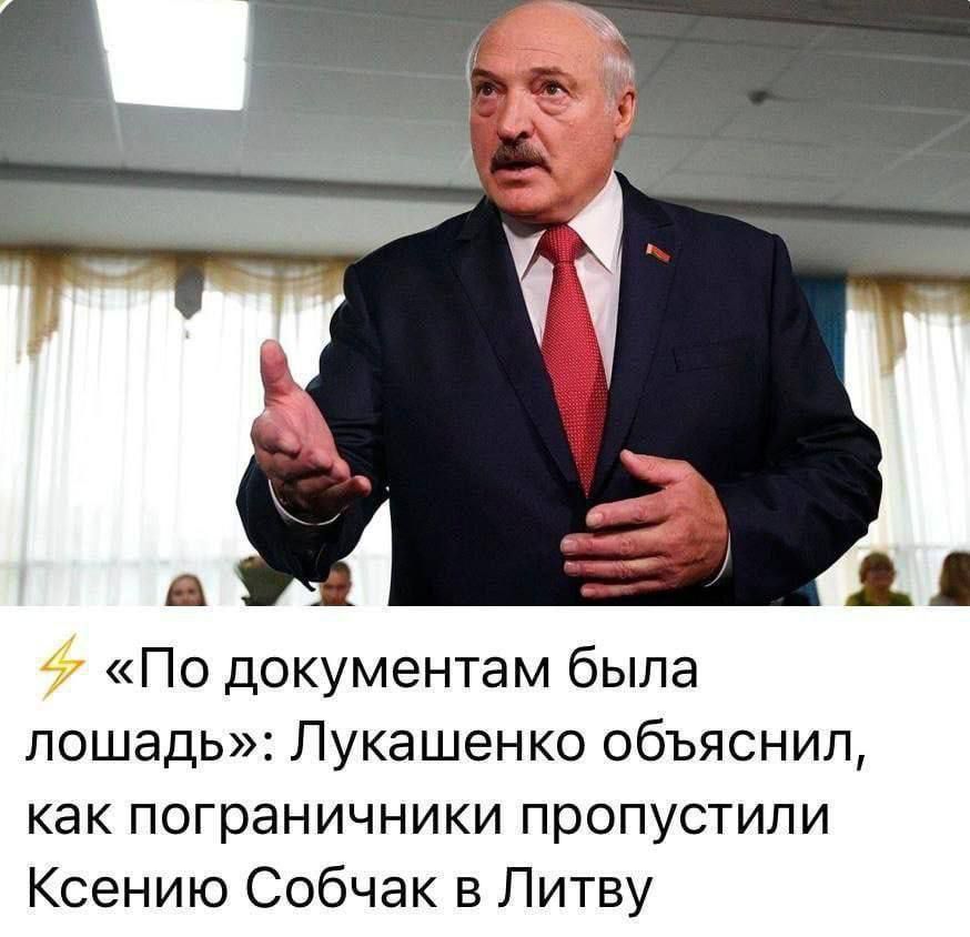 в По документам была лошадь Лукашенко объяснил как пограничники пропустили Ксению Собчак в Литву