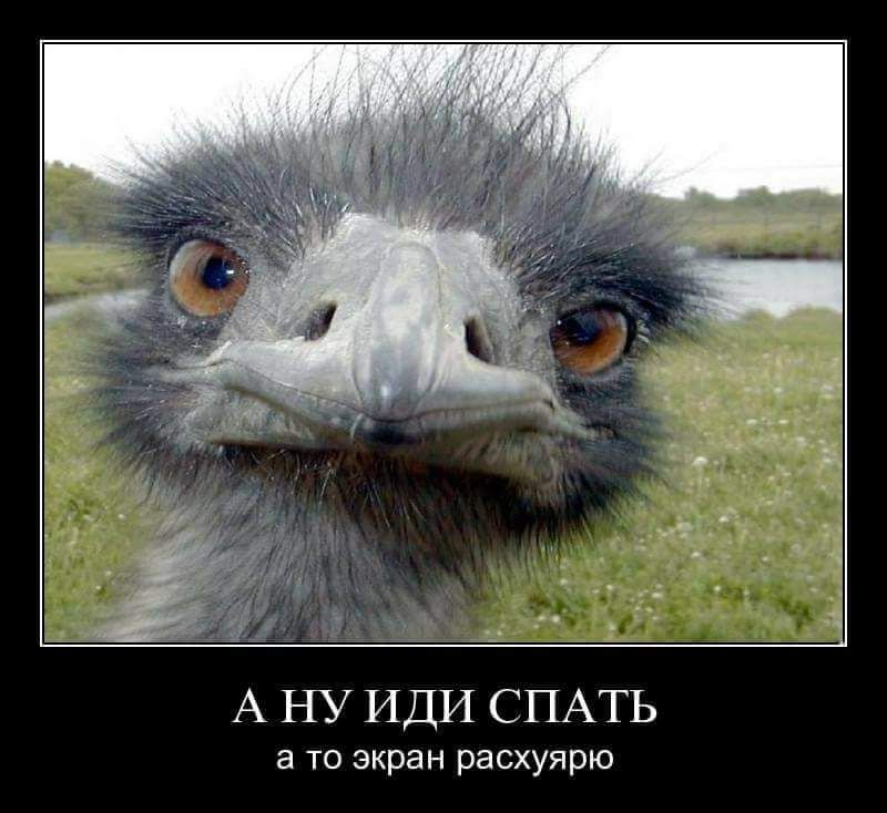 А НУ ИДИ СПАТЬ а то экран расхуярю