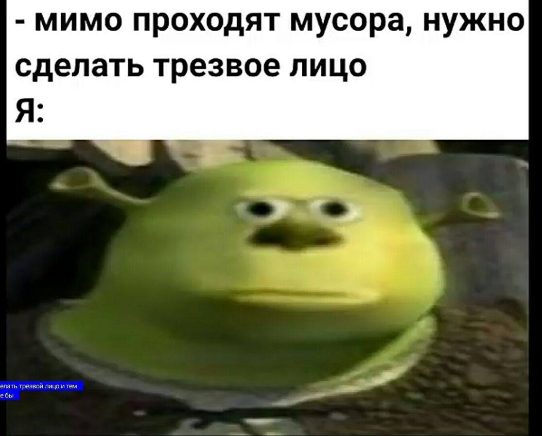 МИМО ПРОХОДЯТ мусора НУЖНО сделать трезвое ЛИЦО Я