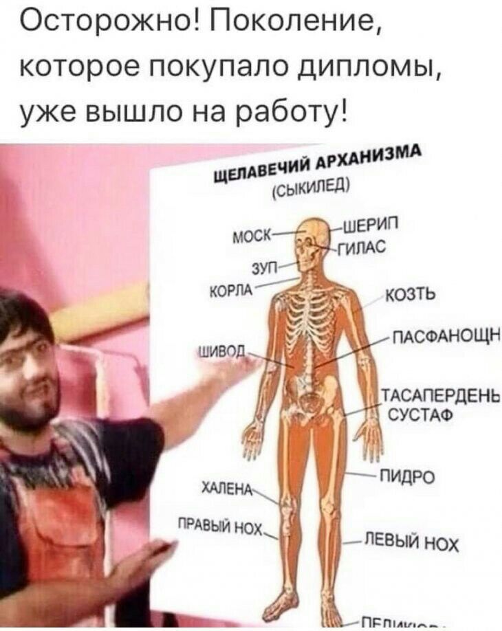 Осторожно Поколение которое покупало дипломы уже вышло на работу ітдсдпердвнь Ю суста ГЛ д пидро ЛЕВЫЙ НОХ ПРгши_