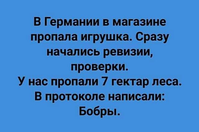 В Германии в магазине пропала игрушка Сразу начались ревизии проверки У нас пропали 7 гектар леса В протоколе написали Бобрьь