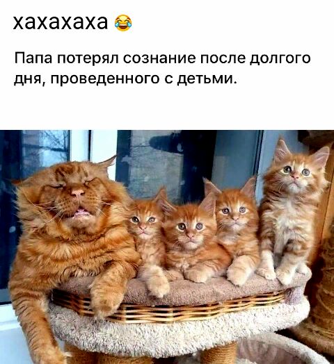ХдХдХдХЭ д5 Папа потерял сознание после долгого дня проведенного детьми