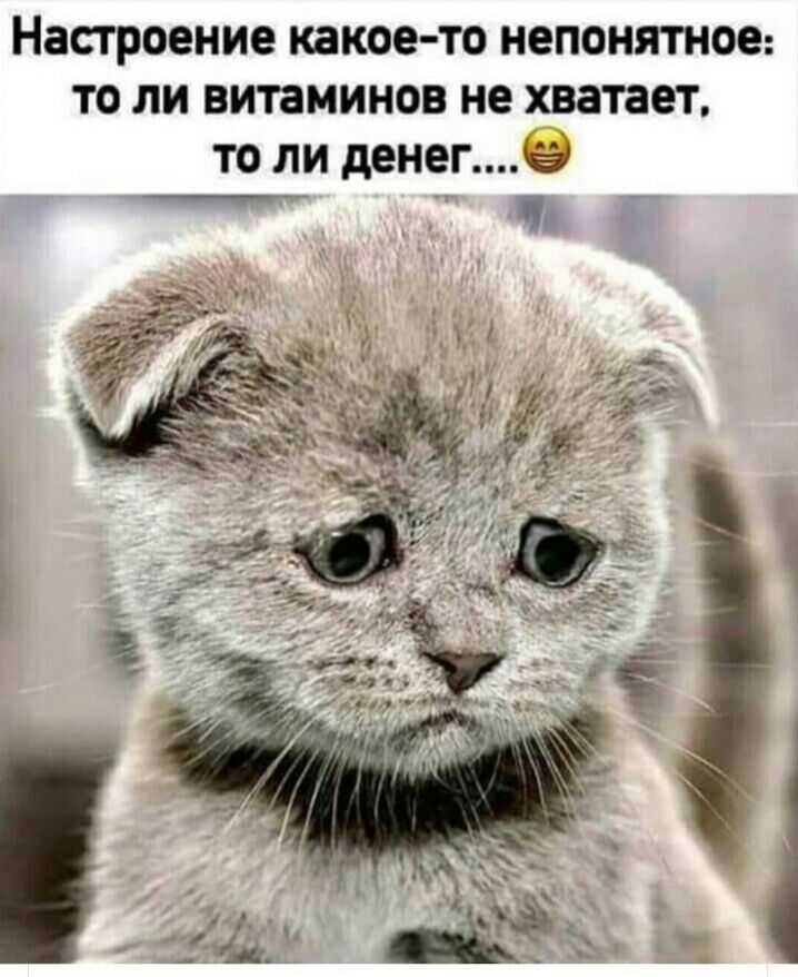 Настроение какое то НЕПОНЯТНОЕ ТО ЛИ ВИТЗМИНОВ не хватает ТО ЛИ денегё2 Чт